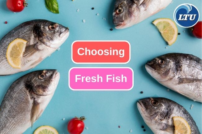 These are How You Choosing Fresh Fish 